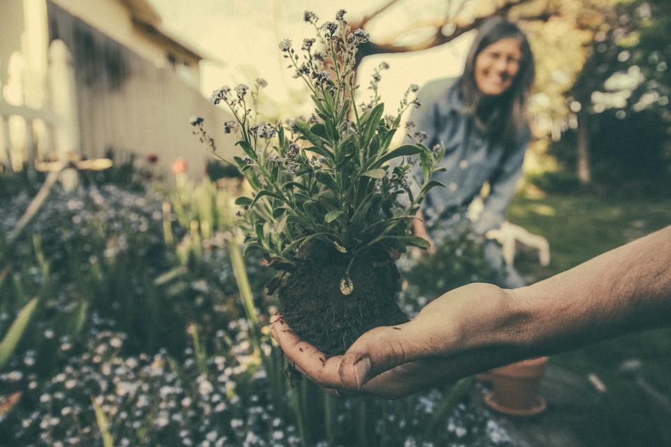 "Environnements favorables  à une alimentation saine : une réponse aux inégalités sociales de santé ?" - La Santé en action